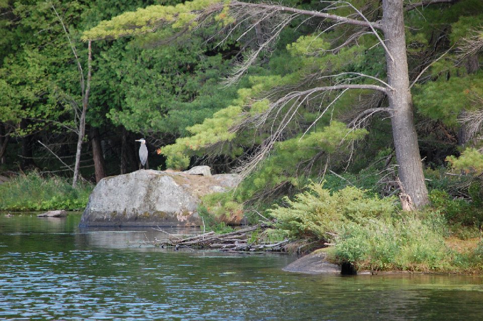 SUMMER2010- (114)